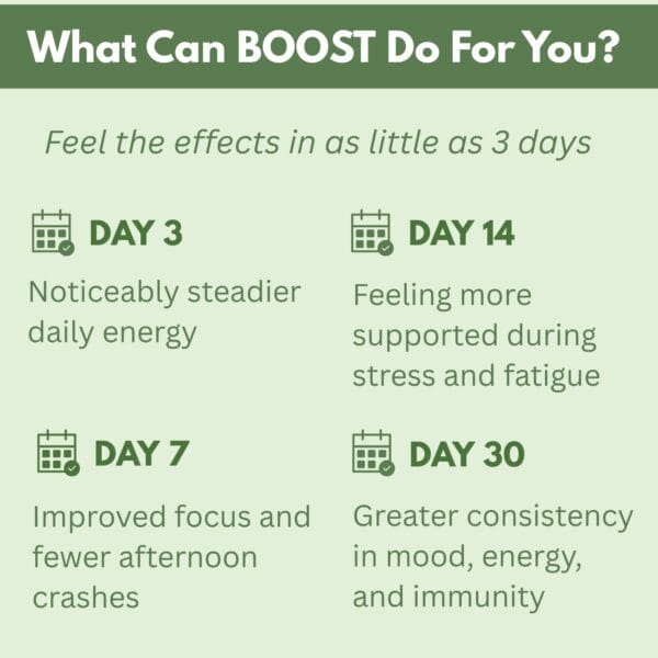 BOOST - Daily Energy & Immune Support - Image 3