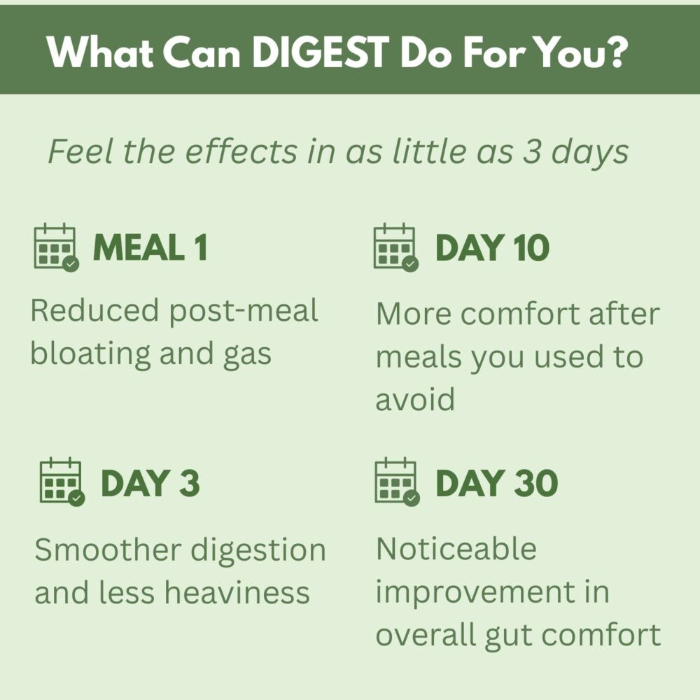 DIGEST - Say Goodbye to Bloating & Discomfort After Every Meal - Image 3