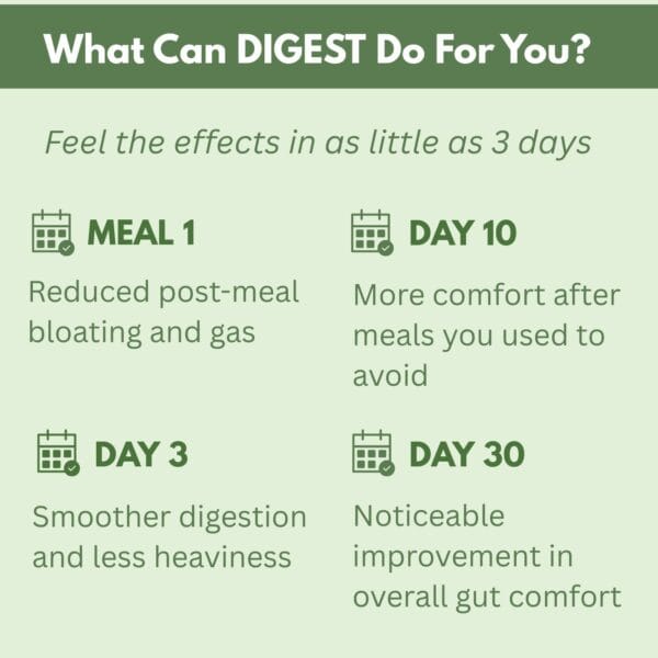 DIGEST - Say Goodbye to Bloating & Discomfort After Every Meal - Image 3