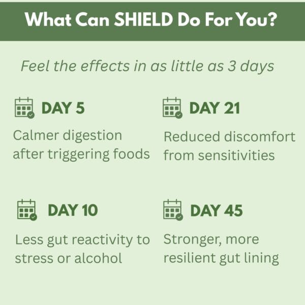 SHIELD (Wholesale Pricing) - Image 3
